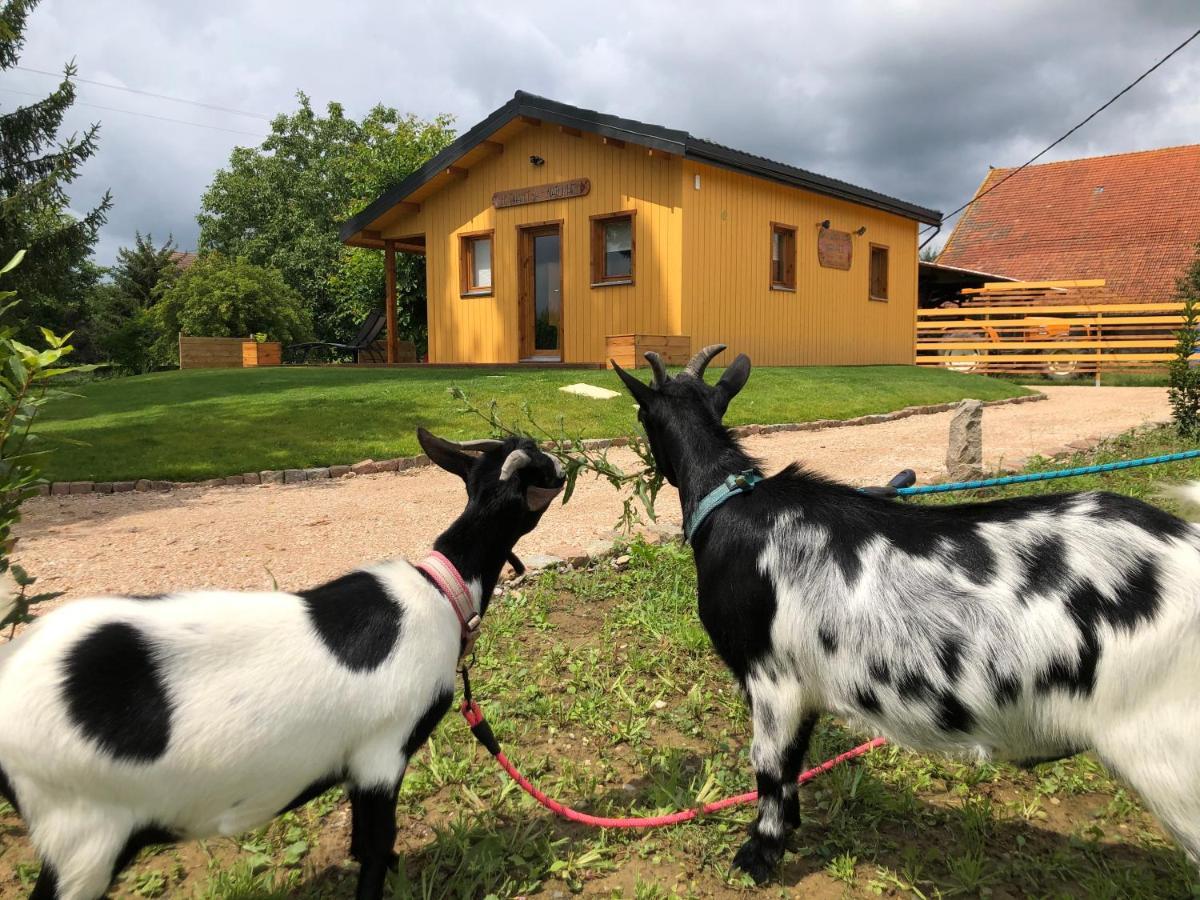 Chalet Au Natur'heil Nature-spa-gourmandise Wahlbach
